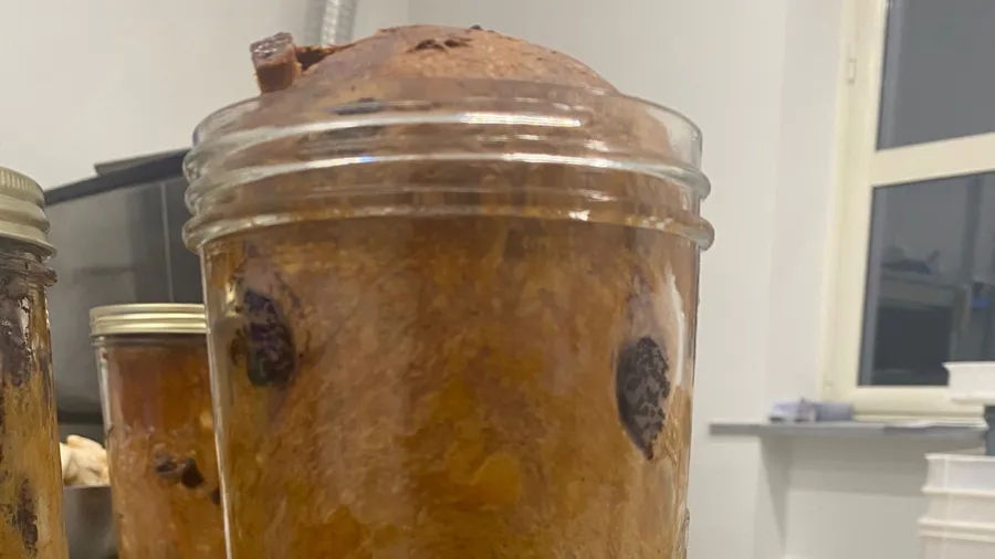 Panettone